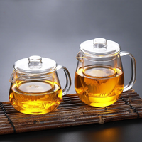 Théière moderne en verre borosilicate avec couvercle, poignée et bec verseur, résistante à la chaleur, sans BPA, pour thé en vrac et infusions aux herbes, pour la maison, la cuisine et le café