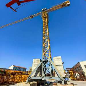 Grúa Torre Pequeña China con Altura Máxima de Elevación de 10m en Venta - Product Image 1