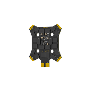 Control eléctrico irregular Borg 60R 60A - Product Image 1