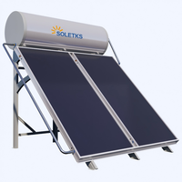 Chauffe-eau solaire à plaque plate 300L, pressurisé, antigel, revêtement émaillé noir, double collecteur, usage domestique extérieur