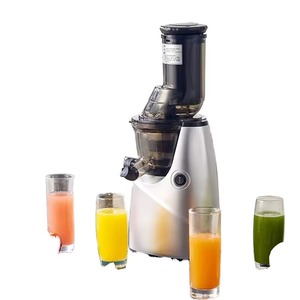 Piccolo Estrattore di Succo Elettrico a Masticazione ad Alta Produttività con Motore per Uso Domestico, Macchina per Latte e Farina - Product Image 1