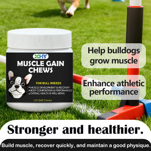 Friandises à mâcher pour chiens, marque privée, soutien musculaire, soins de santé pour animaux de compagnie et compléments alimentaires, pour renforcer les muscles - Product Image 4