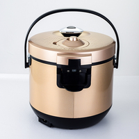 Autocuiseur Électrique Domestique Multifonctionnel en Acier Inoxydable avec Cuve Intérieure en Alliage d'Aluminium – Appareil de Cuisine Portable et Rapide