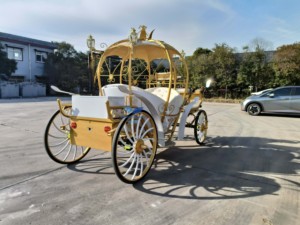 Carruaje de Cenicienta con Diseño de Calabaza, Último Modelo, Elegante, para Bodas, Color Personalizado, Estructura de Acero con Certificación CE, Gran Venta - Product Image 4