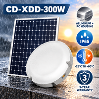 Lampu Gantung Tenaga Surya 300W dengan Timer Remote Dusk to Dawn untuk Penerangan Luar Ruangan Gazebo, Halaman, dan Kanopi dengan Panel Mono