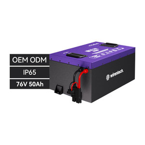 Batteria ricaricabile per triciclo per veicoli elettrici 24V 36V 48V 50Ah 100Ah 200Ah batterie agli ioni di litio - Product Image 1