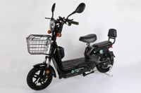Petit vélo électrique urbain 48V 350W, mini vélo électrique pour les trajets quotidiens, OEM, marque privée