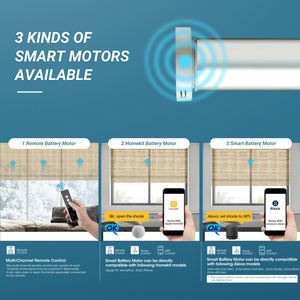 Deyi – fil de bois tissés, sans fil, herbe naturelle, bambou, jute, ramie, stores romains intelligents motorisés - Product Image 6