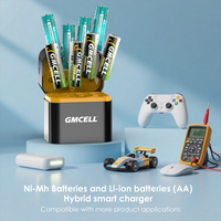 AA NiMH Lithium Batterijen Opladerset 5V3A 15W Hybride 8-slots Smart Charger voor AA Li-ion batterijen en AA NiMH batterijen