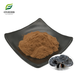 Extracto de Ganoderma <span class=keywords><strong>Atrum</strong></span> (Hongo) Natural Premium, Suministro de Fábrica, Polvo con 30% de Polisacáridos - Product Image 1