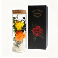 2 Botol Kaca Sabun Manta Bunga Hadiah Hari Valentine Hadiah Ulang Tahun Pacar Lampu Mawar Hiasan Bertenaga Baterai Grosir