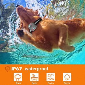 2025 nuevo vendedor superior perro de vibración sin golpes <span class=keywords><strong>Collar</strong></span> de ladridos <span class=keywords><strong>Collar</strong></span> antiladridos recargable con <span class=keywords><strong>Collar</strong></span> de ladridos remoto para perro