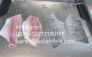 ماكينة أوتوماتيكية لجلود الأسماك على سطح الطاولة من سمك البلطي - Product Image 6
