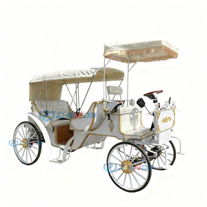 Wedding Occasion Horse Carriage Sightseeing Vehicle Cheap Price Carriage Special Transportation Vehicle Customized Seats Awning - Product Image 2