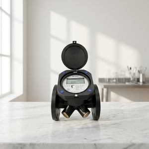 Compteur d'eau industriel intelligent NB-IoT 4G IoT à ultrasons pour tuyaux en acier au carbone, mesure bicanal, DN50-DN150 - Product Image 5