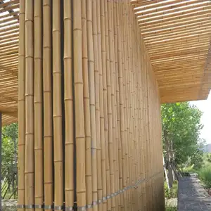 Costruzione di grandi dimensioni costruzione moso pole bamboo