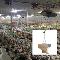 Mangeoire métallique durable à longue durée de vie pour poulets de chair et poulets reproducteurs en élevage moderne