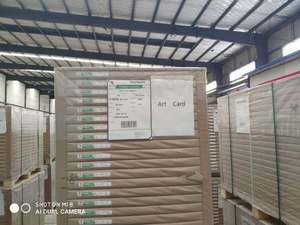 230G 250GSM 300GSM 350GSM Double Coated Offset Printing Compatible Bristol Paper Art <b>Card</b> - Product Image 6