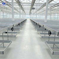 Table de culture Chenchao 4x8 avec bacs à semis en treillis soudé et banc de culture mobile pour semis de légumes