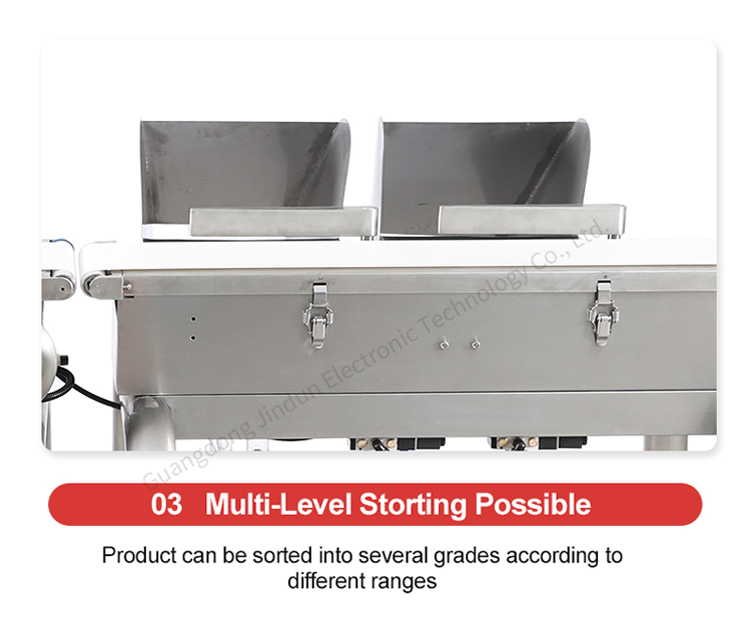 Kết hợp truyền đạt vành đai checkweigher cho thực phẩm SORTER máy