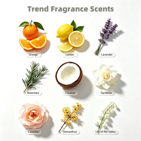 Huile parfumée type agrumes frais pour diffuseur d'hôtel d'affaires, parfum éclatant d'orange et de citron, énergisant, en stock, personnalisable