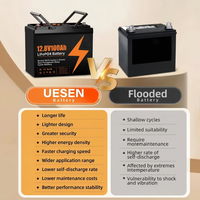 Batterie solaire LiFePO4 12,8 V 100 Ah 200 Ah pour système hors réseau, batterie de secours domestique au lithium fer phosphate avec BMS