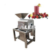 Automatische Groente Fruit Pulp Making Machine Hoge-Uitvoeren Fruit Puree Machine