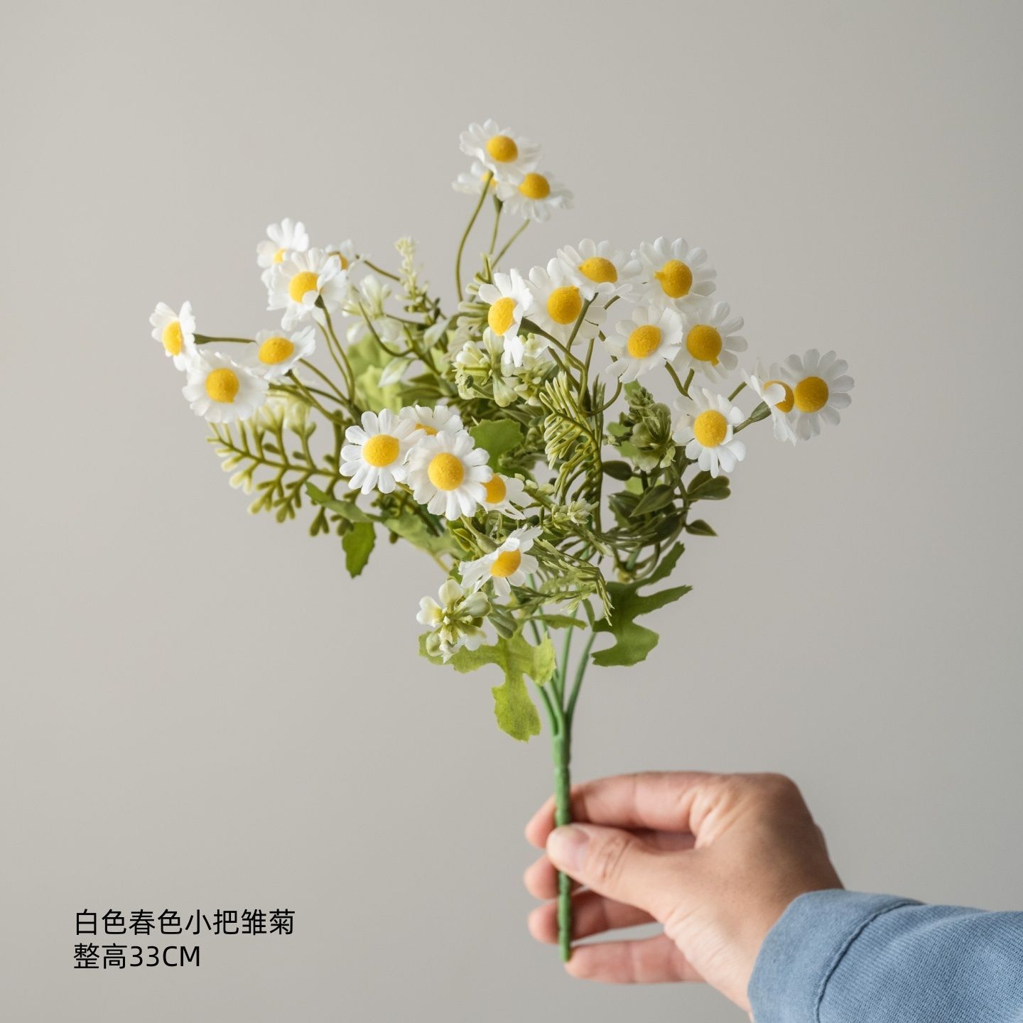 Petits bouquets de marguerites blanches de printemps