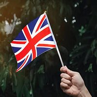 Bâton en plastique Gahumi Nation algérienne Drapeaux à main 14*21cm Polyester Custom Country Algérie Hand Held Mini Flag Banner