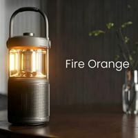 Enceinte sans fil d'extérieur Dynamic Light BT 5.3, 24h d'autonomie, IP67, étanche, pour le travail, l'atelier, le garage, les voyages, les sorties à la plage