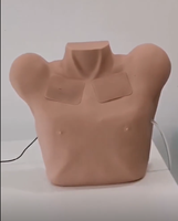 Modèle de Drainage Thoracique pour la Formation en Ponction de Pneumothorax et Hydrothorax – Simulateur de Formation Clinique