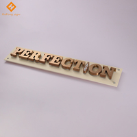 Lettres 3D rétroéclairées en acier inoxydable brossé or rose sur mesure avec base en acrylique pour enseigne de salon de beauté, enseigne de centre de médecine esthétique
