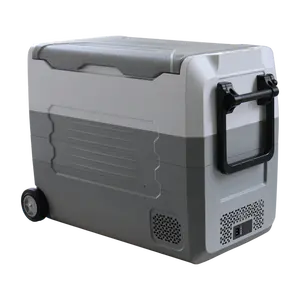 ثلاجة متنقلة للسفر في سيارة تخييم خارجية، مبرد للاستخدام في الثلاجة للسفر والأنشطة في الهواء الطلق