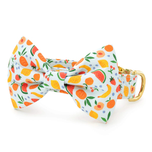 Bán Buôn Con Chó Đi Bộ Phụ Kiện Thiết Lập Sang Trọng Thoáng Khí Vật Nuôi Dây Xích & Cổ Áo Biểu Tượng Tùy Chỉnh In Vải Nhà Máy Giá - Product Image 4