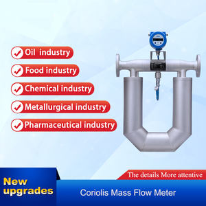 코리올리 스테인리스 스틸 질량 유량계, 물 및 오일 액체 측정용 가솔린 및 디젤 밀도 센서 - Product Image 2