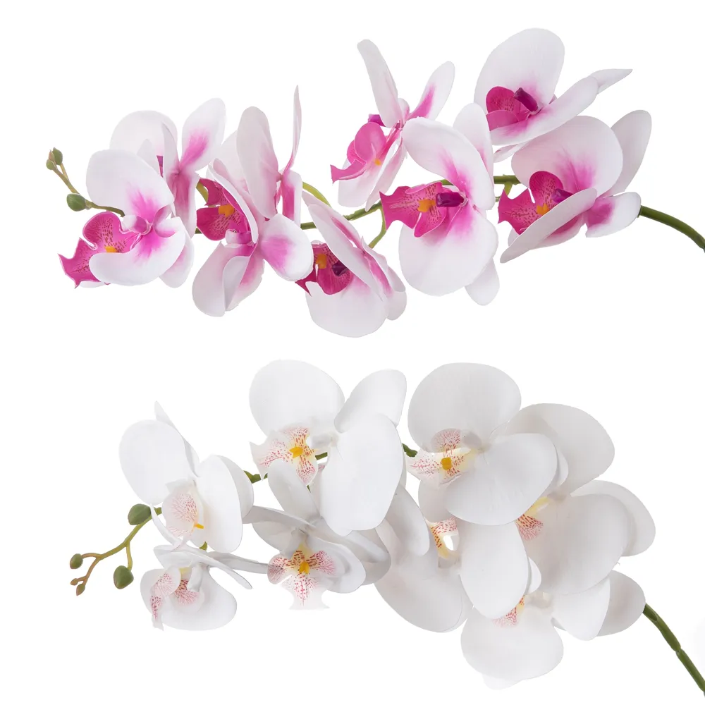 Doğal dokunmatik lateks güve orkide yapay çiçek kelebek orkide