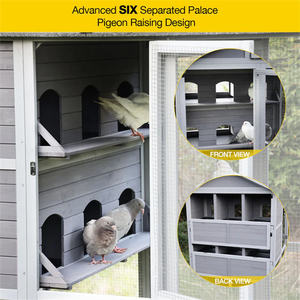 Le plus populaire grand <span class=keywords><strong>pigeon</strong></span> Loft avancé Six séparé palais <span class=keywords><strong>pigeon</strong></span> élevage conception cage à oiseaux - Product Image 3