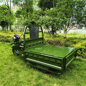 Tricycles électriques de cargaison de l'Europe COC EEC grande taille 1000W 2000W adulte 3 trois vélos livraison de cargaison - Product Image 5