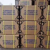 FLORESCENCE Araba İç Lastiği Bütil 165/70R13 Lastik İç Lastiği 13 İnç Araba İç Lastiği Araba Lastiği İç Lastiği Yeni Lastik İç Lastiği Araba Lastikleri için Kameralar