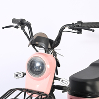 Nouveau tricycle électrique pour personnes âgées, usage domestique pour adultes, transport pour enfants, petit tricycle électrique pour femmes