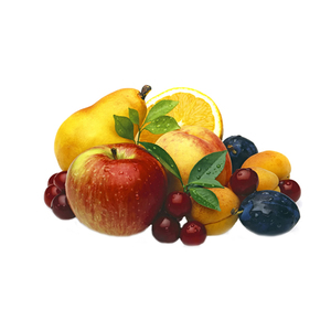 Presse à jus commerciale pour fruits, machine à jus de pomme et d'ananas, extracteur de jus - Product Image 4