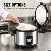 Cuiseur à riz commercial en acier inoxydable de 20 tasses pour riz cru, cuiseur électrique avec certifications ETL CE CB CCC pour restaurant