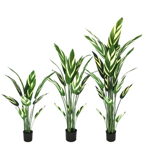 ต้นกล้วยเทียมสูง 100 ซม. พร้อมกระถาง - Product Image 5