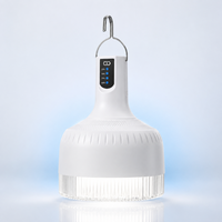 Lampe suspendue LED rechargeable portable 36 LED 2400mAh Type-C 1W compatible solaire pour la maison, le camping et les situations d'urgence