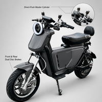 Motocicleta Eléctrica Todoterreno Rental Club de 2000W, 16 Pulgadas, 48V 60V 72V