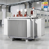 Transformateurs industriels triphasés 200-630 kVA 10 kV 20 kV 35 kV immergés dans l'huile pour la fabrication