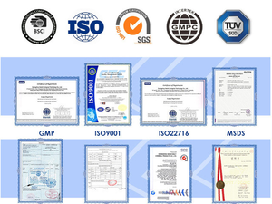 Tedarik OEM/ODM/OBM beyin kapsülleri özel etiket takviyesi beyin kapsülleri - Product Image 6