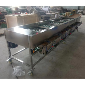 Máquina Automática de Clasificación y Calibración de Frutas y Verduras para Plantas de Procesamiento, 3 Niveles, Velocidad Ajustable - Product Image 2