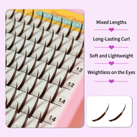 Faux cils bruns à base pointue, bande complète, pour application DIY, recourbés, 10 12 14 16 18 mm, 200 grappes