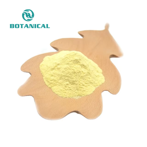 B.C.<span class=keywords><strong>I</strong></span> VERSORGUNG Wasser lösliches Instant Dry Ginger Extract Pulver Gingerol - Product Image 2